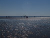 Wattenmeer;  Nordfriesland, Germany; Profil: Rowald; 