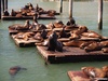  San Francisco, USA; Profil: Rowald;