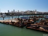  San Francisco, USA; Profil: Rowald;