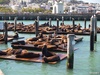  San Francisco, USA; Profil: Rowald;