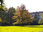 A140829