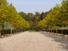 A100645; Hamburg, Germany; Profile: Rowald;