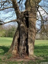 P4222200;  Jenisch Park, Hambur...; Profil: Rowald; 