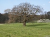 P4222170;  Jenisch Park, Hambur...; Profil: Rowald; 