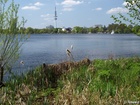 &lt;br&gt;P5052661