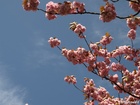 &lt;br&gt;P4302607