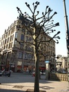 <br>P4101963; Hamburg, Germany; Profil: Rowald;