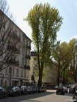 &lt;br&gt;P4232233