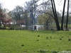 <br>9;  Hamburg, Germany; Profil: Rowald; 