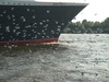 Queen Mary 2; Q2 Begleitfahrt; Elbe, Hamburg, Germany; Profil: Rowald;