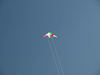 Kite / Drachen; Profil: Rowald; 