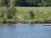 Stadtpark in Summer; Hamburg, Germany; Profile: Rowald;