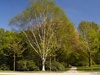 4255152_G; Stadtpark, Hamburg, ...; Profil: Rowald;