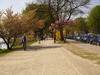 4164939_G;  Alster, Hamburg, Ger...; Profile: Rowald; 