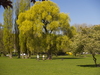 4164931_G;  Alster, Hamburg, Ger...; Profil: Rowald; 