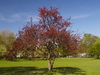 4164926_G; Alster, Hamburg, Ger...; Profil: Rowald;