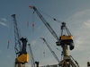 Cranes; Habor, Hamburg, Germany; Profil: Rowald;