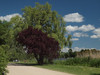 PA102591;  Alser;  Hamburg, Germany; Profil: Rowald; 