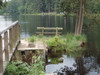 P7240479;  Bayreuth, Germany; Profil: Rowald; 