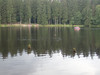 P7240487;  Bayreuth, Germany; Profil: Rowald; 