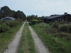 P5280634; Læsø, Danmark; Profil: Rowald;