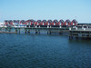 P5290709; Læsø, Danmark; Profil: Rowald;
