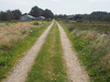 P5300857; Læsø, Danmark; Profil: Rowald;