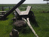P5310990; Læsø, Danmark; Profil: Rowald;