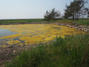 P5310997; Læsø, Danmark; Profil: Rowald;
