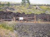 PB211950; Hawaii, Big Island, ...; Profil: Rowald;