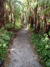 PB200990; Hawaii, Big Island, ...; Profil: Rowald;