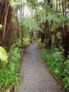PB211068; Hawaii, Big Island, ...; Profil: Rowald;