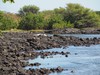 PB201906; Hawaii, Big Island, ...; Profil: Rowald;