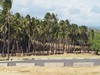 PB201908; Hawaii, Big Island, ...; Profil: Rowald;