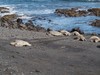PB201922; Hawaii, Big Island, ...; Profil: Rowald;