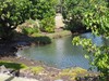 PB201893;  Hawaii, Big Island, ...; Profil: Rowald; 