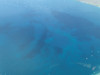 PB221191;  Hawaii, Big Island, ...; Profil: Rowald; 