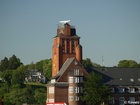 P5088694