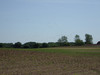 P5251521; Fuenen, DK; Profil: Rowald;