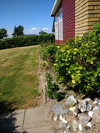 IMG_20180523_142602891;  Fuenen, DK; Profile: Rowald; 