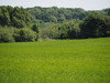 P5252466;  Fuenen, DK; Profil: Rowald; 