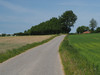 P5252470;  Fuenen, DK; Profil: Rowald; 