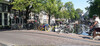 20230615_120700; Rowald; © Rowald; Amsterdam, NL; Profil: Rowald;