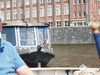 P6134052; Rowald; © Rowald; Amsterdam, NL; Profile: Rowald;