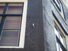 P6154224; Rowald; © Rowald; Amsterdam, NL; Profile: Rowald;