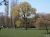 7_G; © Rowald; Hamburg, Germany; Profile: Rowald;