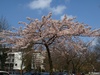 16_G; © Rowald; Hamburg, Germany; Profile: Rowald;