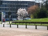 13_G; © Rowald; Hamburg, Germany; Profil: Rowald;