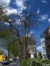 P4232216; © Rowald; Hamburg, Germany; Profil: Rowald;