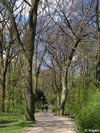 P4232268; © Rowald; Hamburg, Germany; Profil: Rowald;